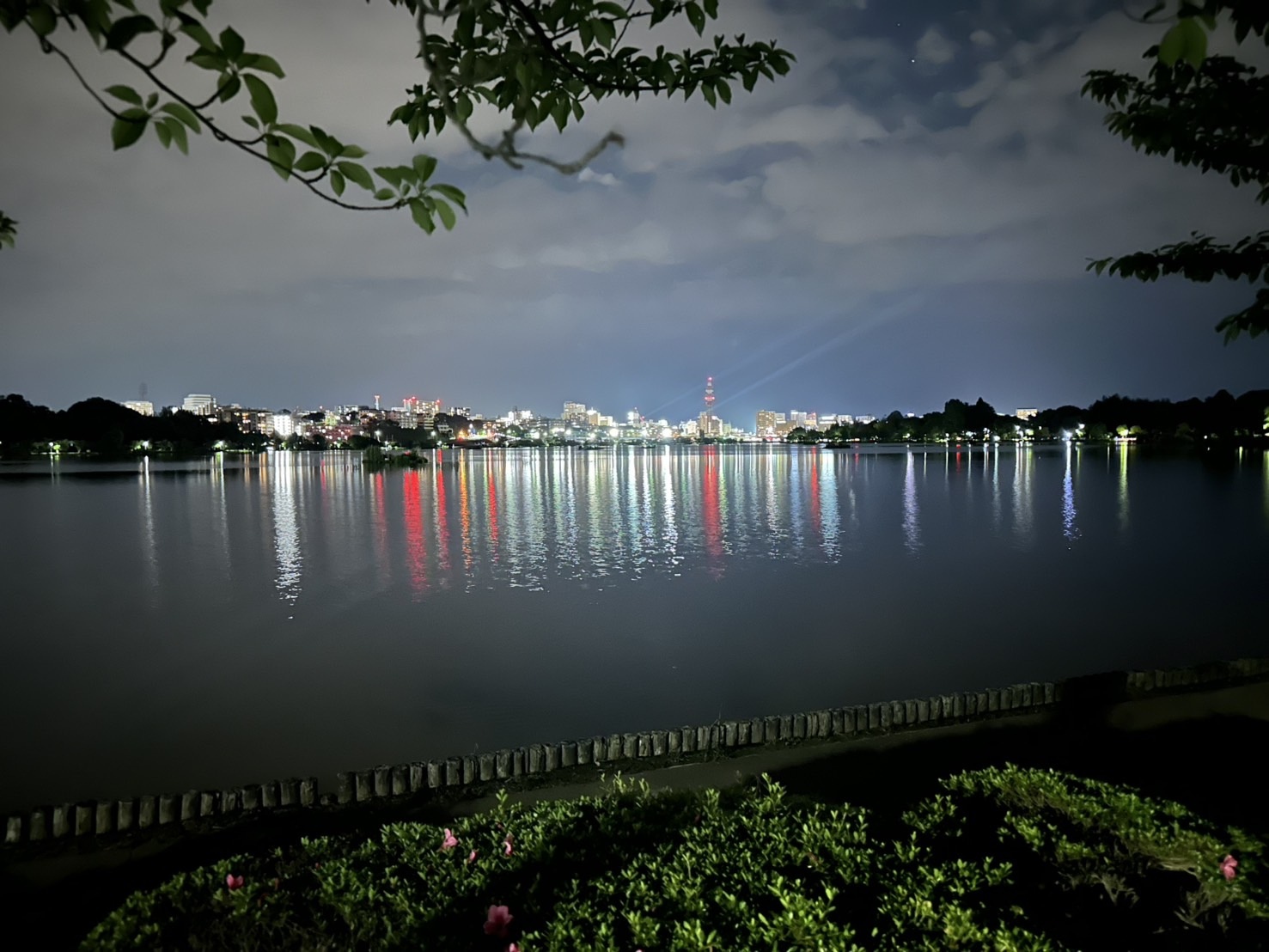 マイブームの画像