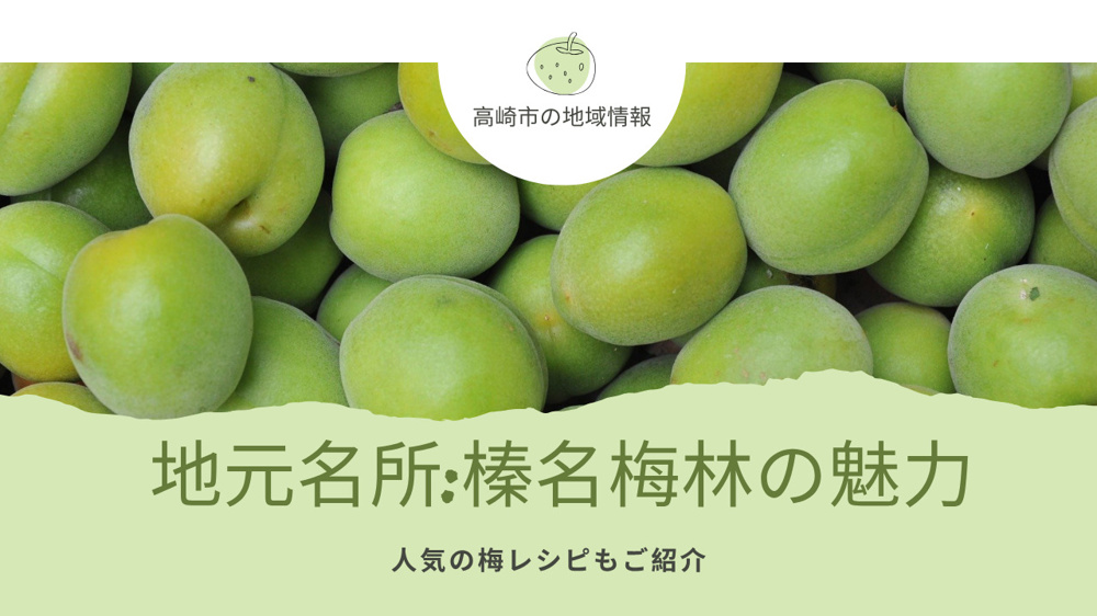 高崎市の地域情報や梅林の魅力が気になる方必見！梅レシピも合わせてご紹介の画像