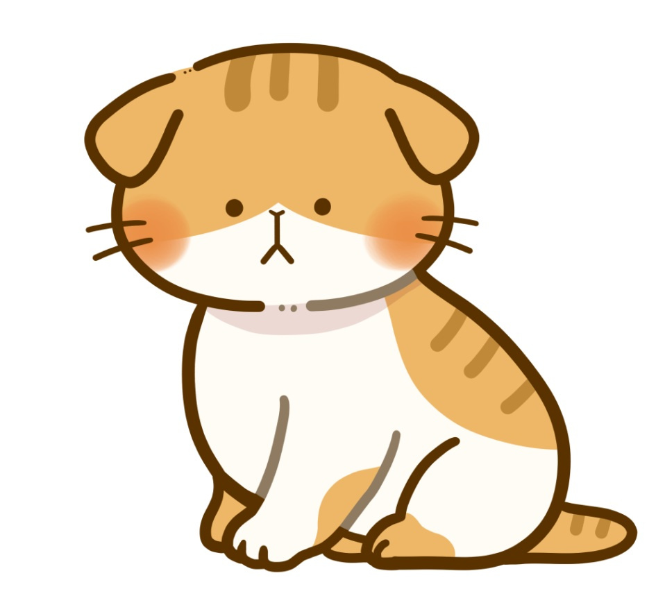 新しい仲間が加入しました！！(=^・^=)の画像