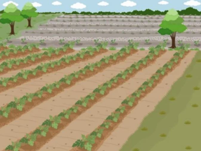 「その田んぼ、放っておくと税金が倍に⁉ 相続後の正しい対処法」の画像