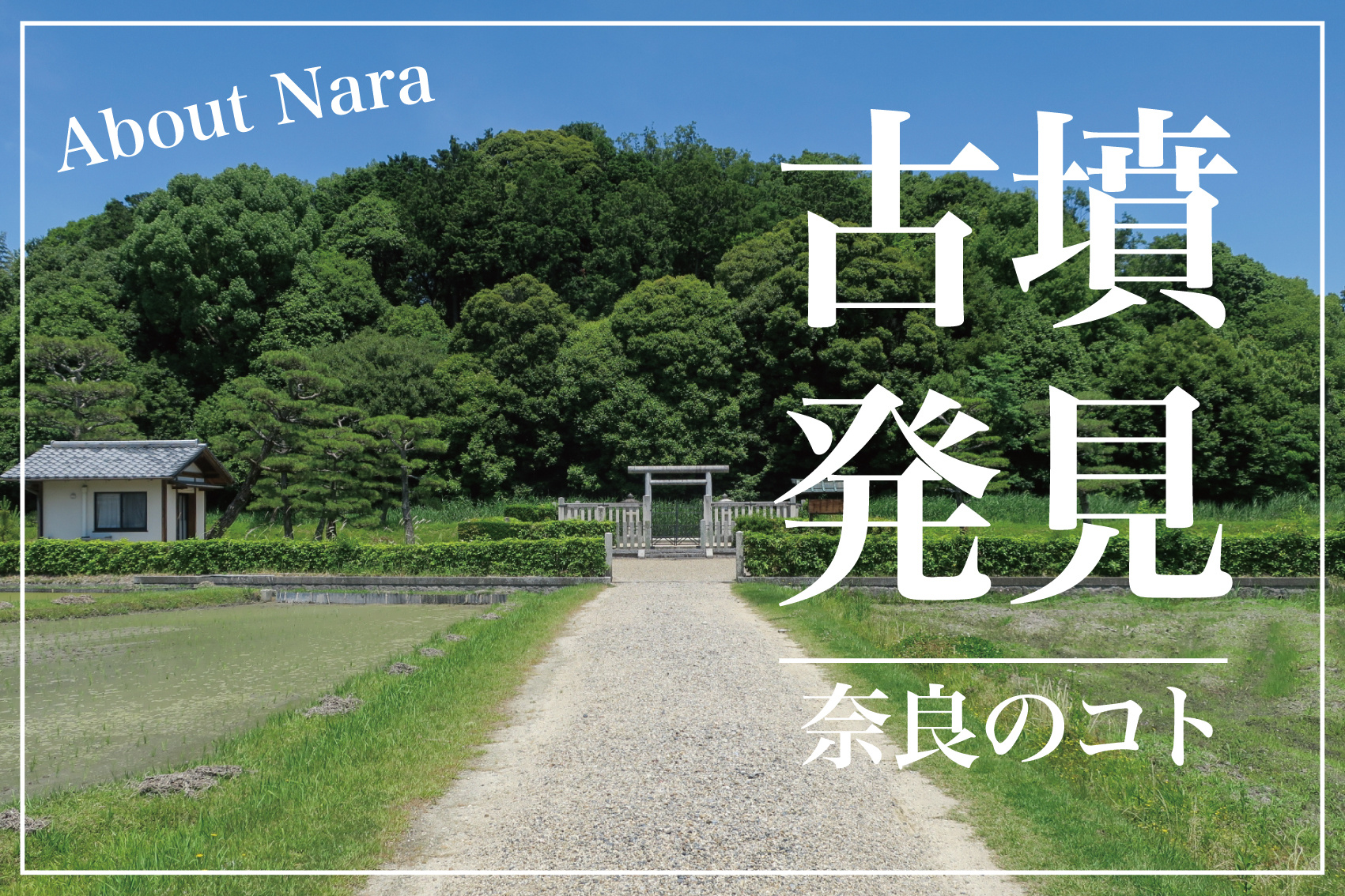 新たな古墳発見！？佐紀池ノ尻で見つかった古代の眠りの画像