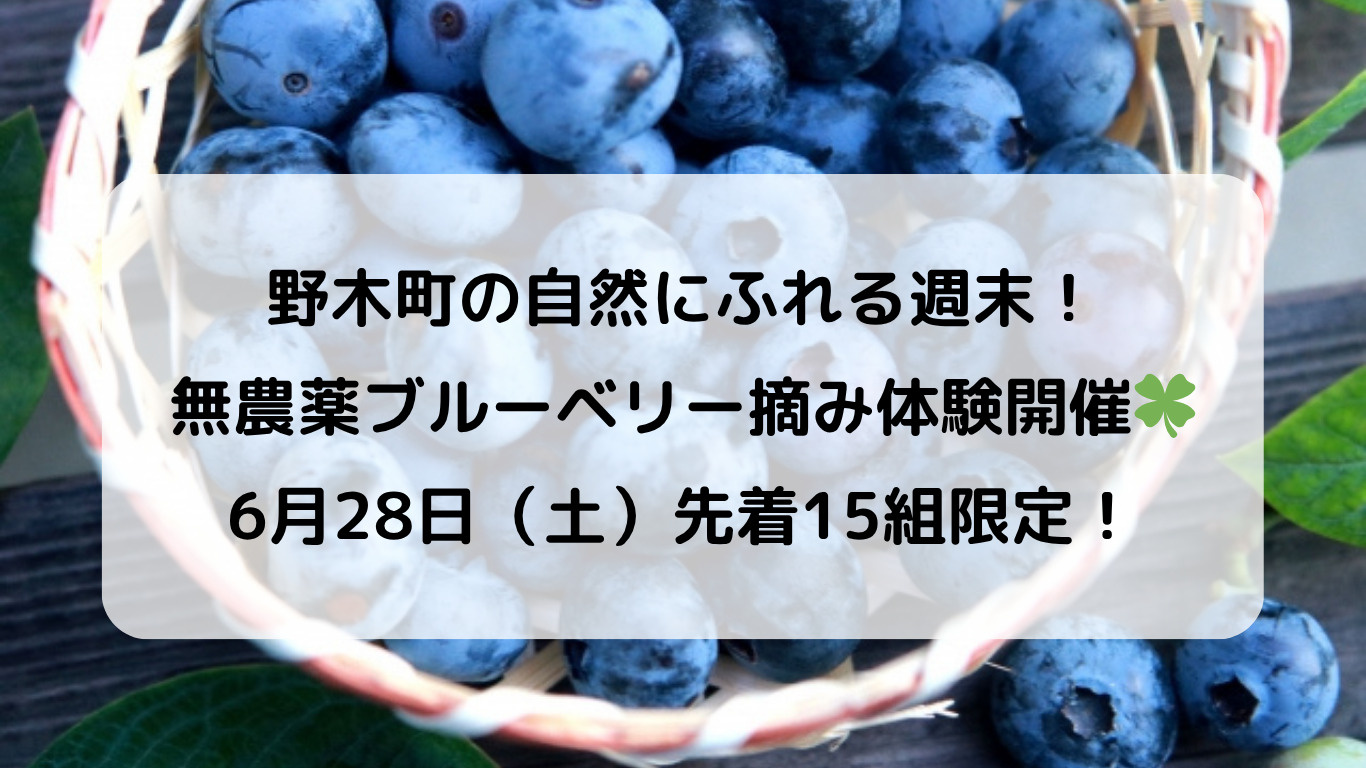 野木町で無農薬ブルーベリー摘み体験！6月28日限定イベント開催の画像