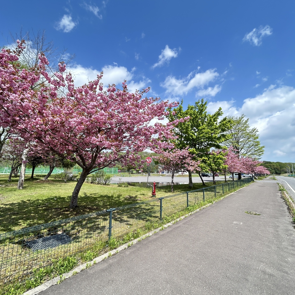 写真整理してたら・・の画像