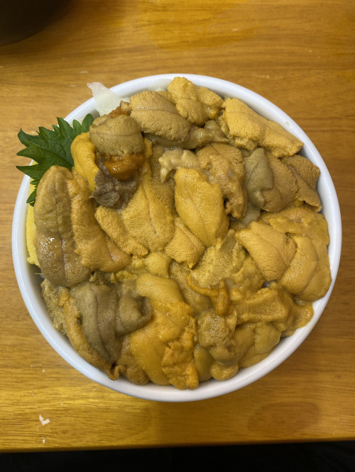 ※削除不可※　廣橋　将輝　スタッフ詳細用の画像