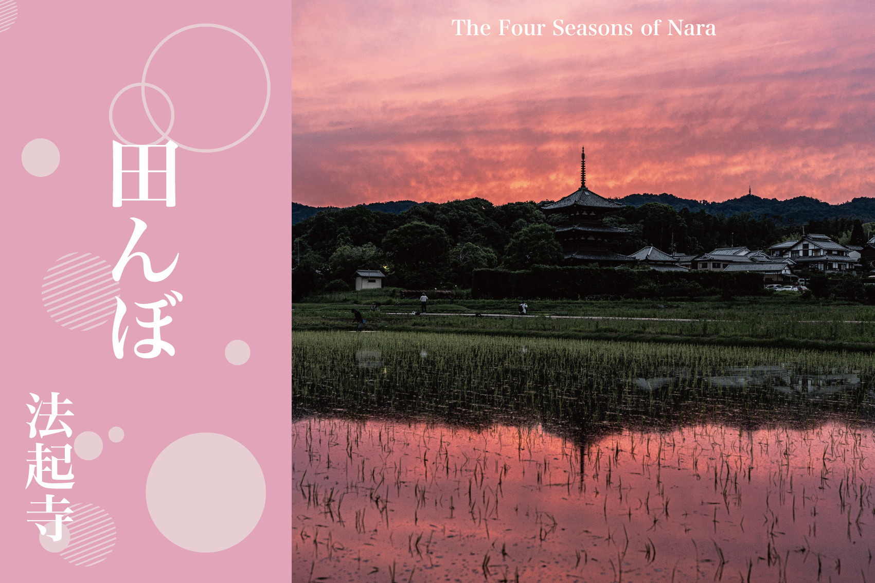 水鏡に映る夕焼けの法起寺──斑鳩町が誇る静寂と美の原風景の画像