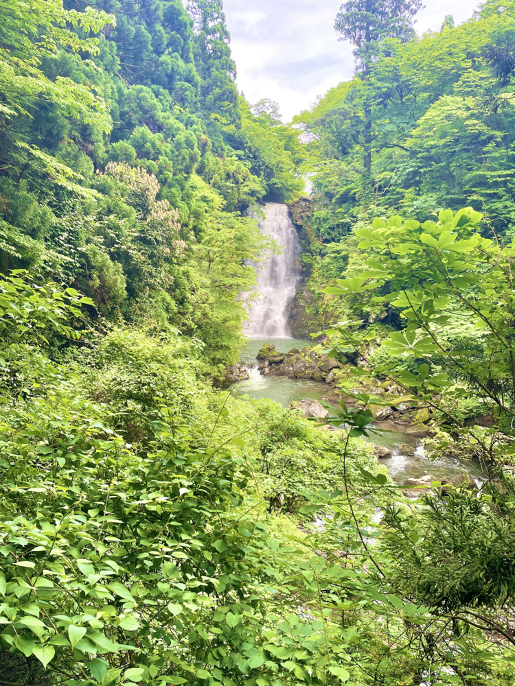 滝の画像