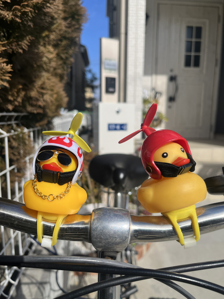 意外なマイブームをご紹介いたします♪の画像