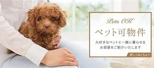 ペット可でも安心できない？後悔しない物件選びのポイントの画像