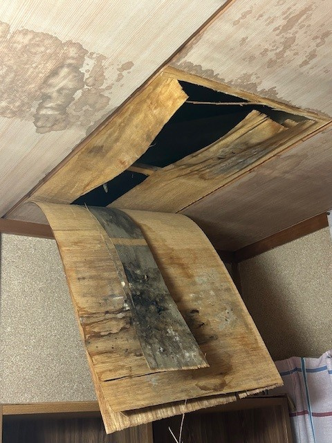 【あま市不動産売却】天井の画像