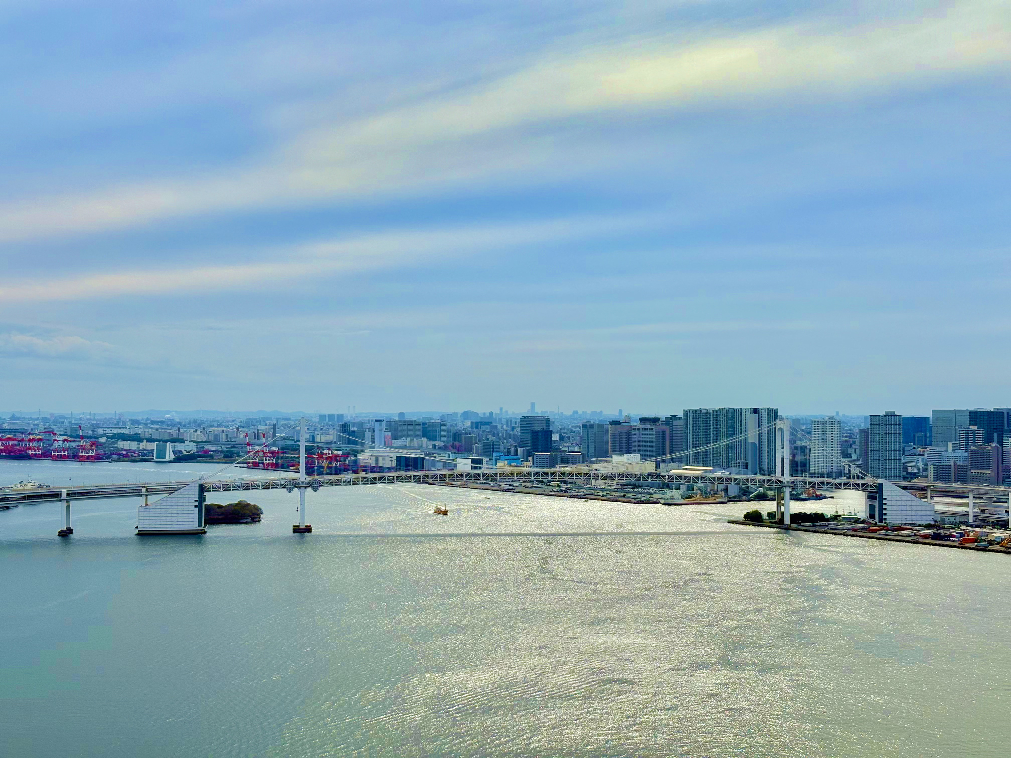 SKY DUO 南西側眺望の画像