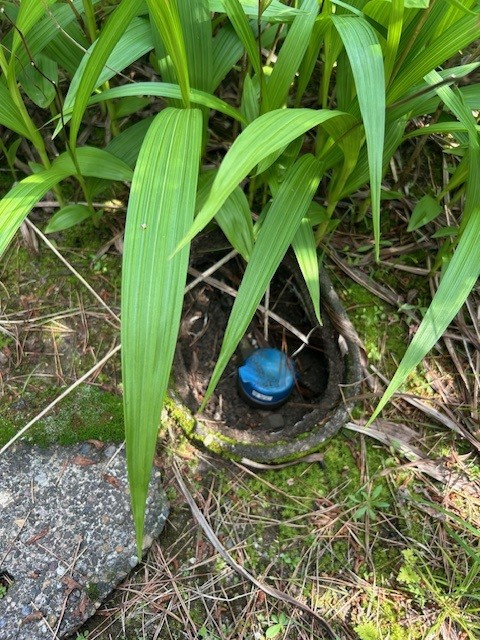 【愛西市不動産売却】見つけるの画像