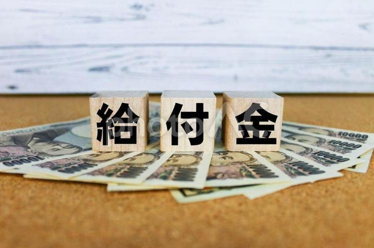 住宅購入に関わる給付金・補助金制度の画像