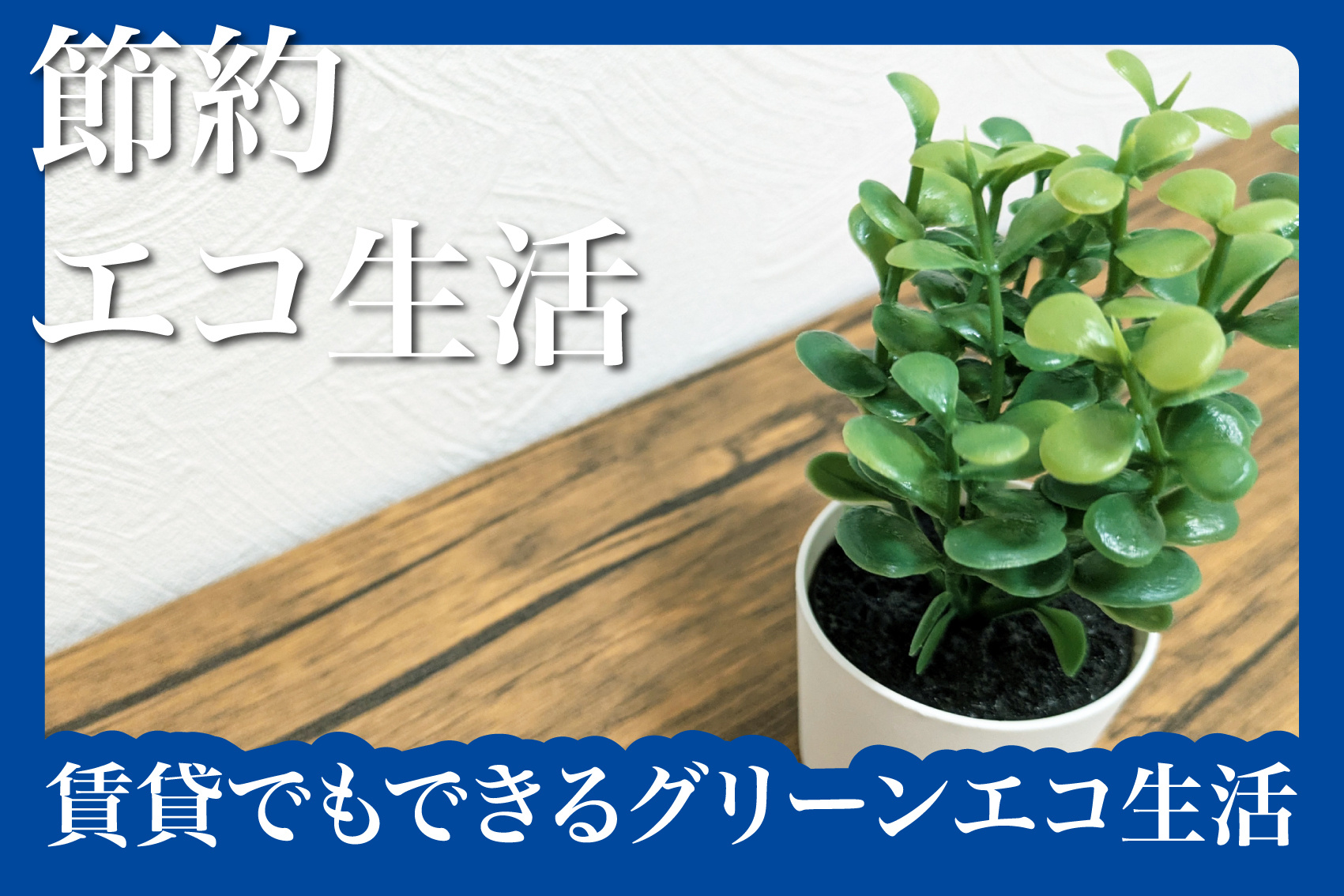 観葉植物で空気清浄！賃貸でもできるグリーンエコ生活の画像