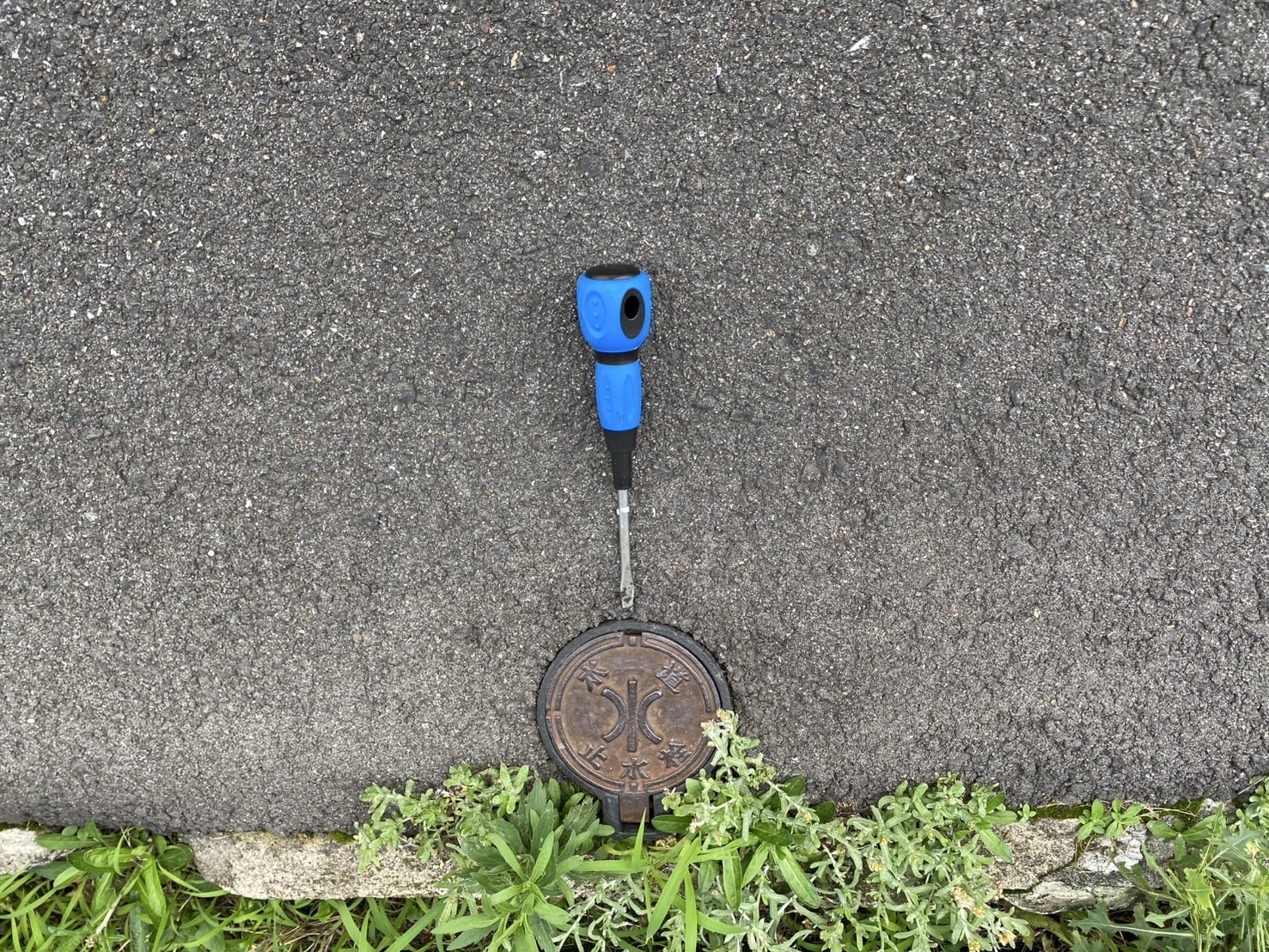 朝から調査や訪問等々で今やっと落ち着きましたの画像