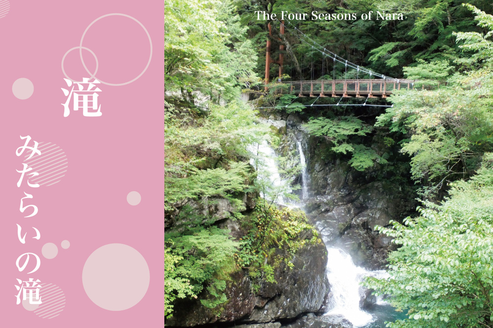 命が目覚める季節──新緑の「みたらいの滝」で感じる圧倒的な自然美の画像