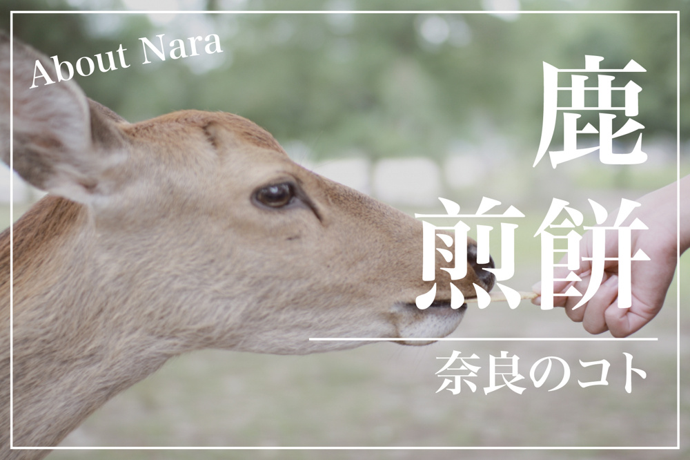 鹿せんべいって何でできてる？人は食べられるの？素朴な疑問を徹底解説！の画像