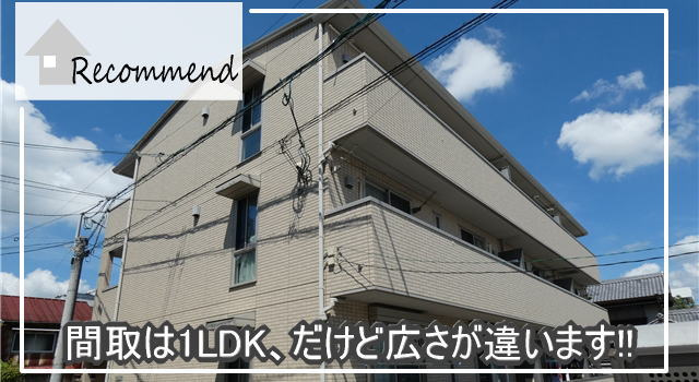 セレニテ/1LDK/岡山市北区番町の画像