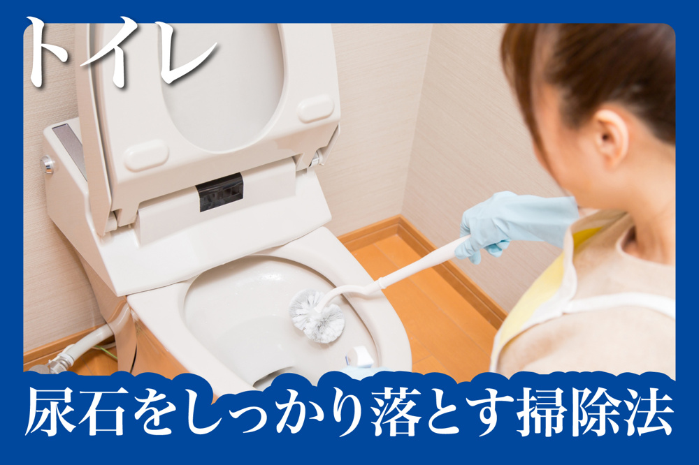 賃貸でもできる！尿石をしっかり落とす掃除法の画像