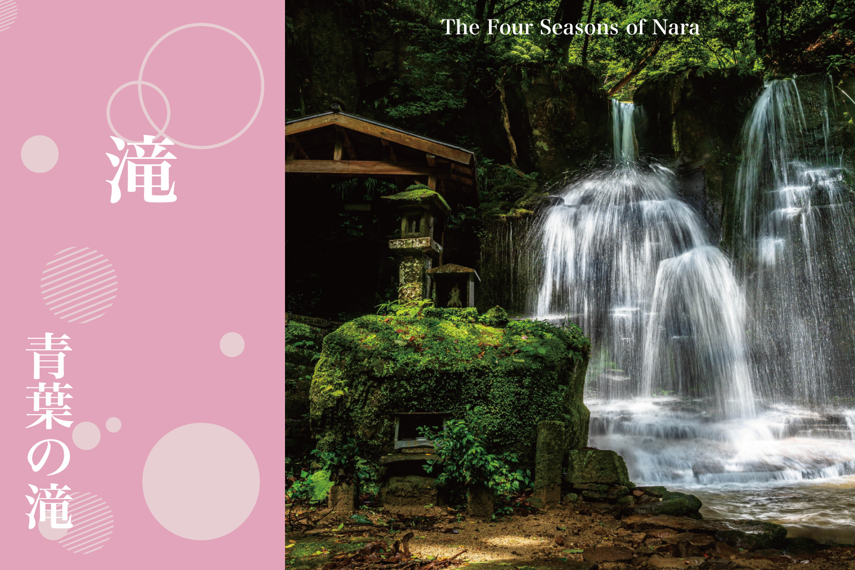 風薫る季節、緑に包まれる癒し──奈良・青葉の滝で味わう静寂と潤いの画像