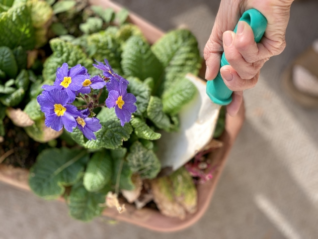 スムトコ不動産事務サポートSのブログ『癒し♪』の画像