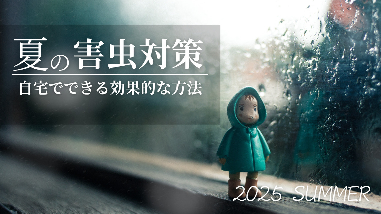 夏の害虫対策はどうする？おすすめの方法と注意点も紹介の画像