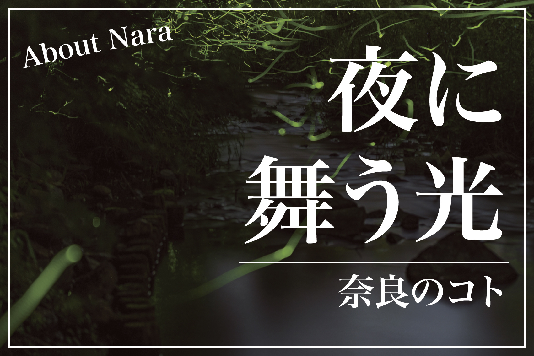 奈良県で蛍は見れる？幻想的な光に出会えるスポット一覧の画像