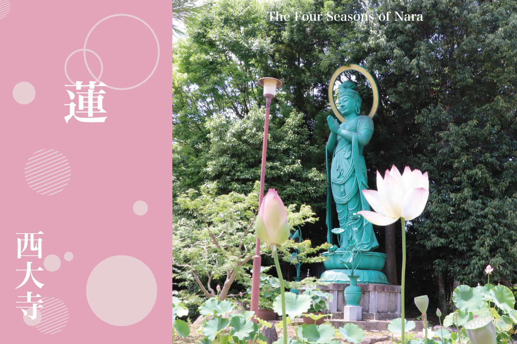 祈りの庭に咲く極楽の花──西大寺の蓮が語る夏の静寂の画像