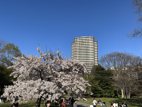 四季と暮らす ザ・タワー中島公園 ラピス・ライオンズスクエアの画像