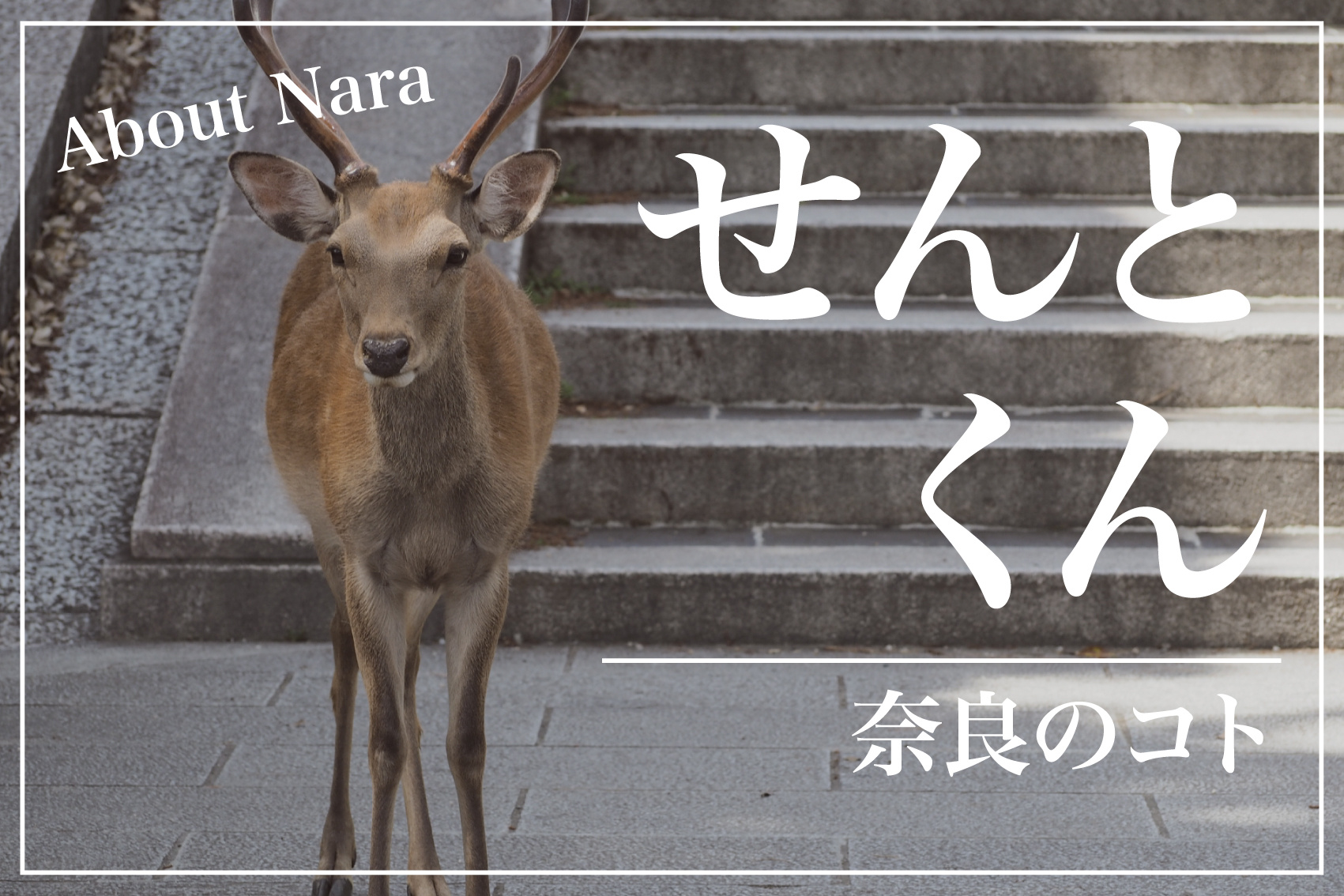 せんとくん、誕生の理由から今に至るまで──その歩みと奈良の顔としての存在感の画像