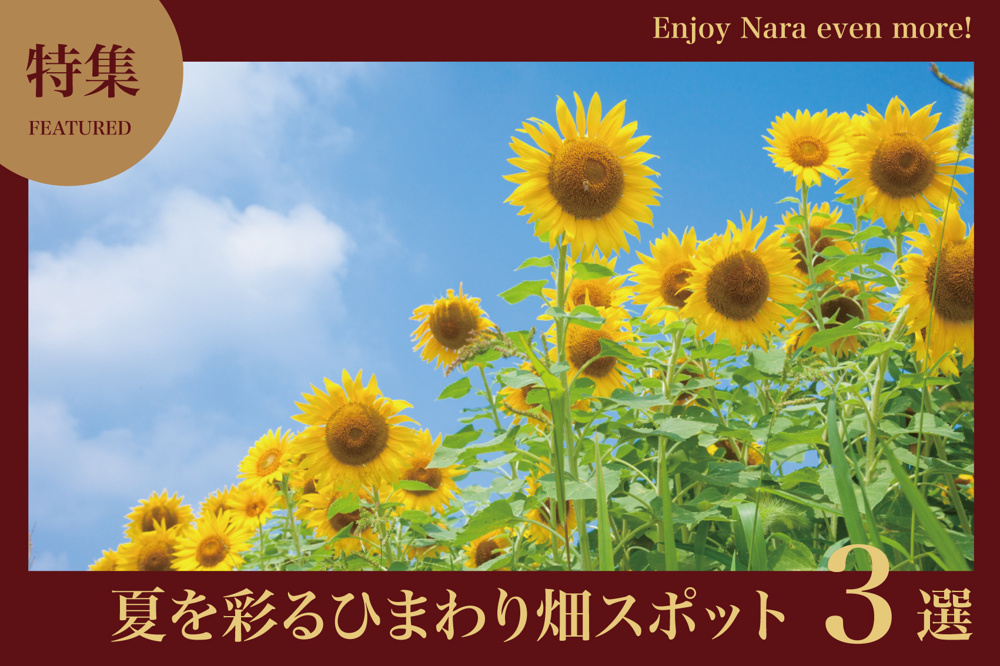 奈良県で見られる！夏を彩るひまわり畑スポット3選の画像