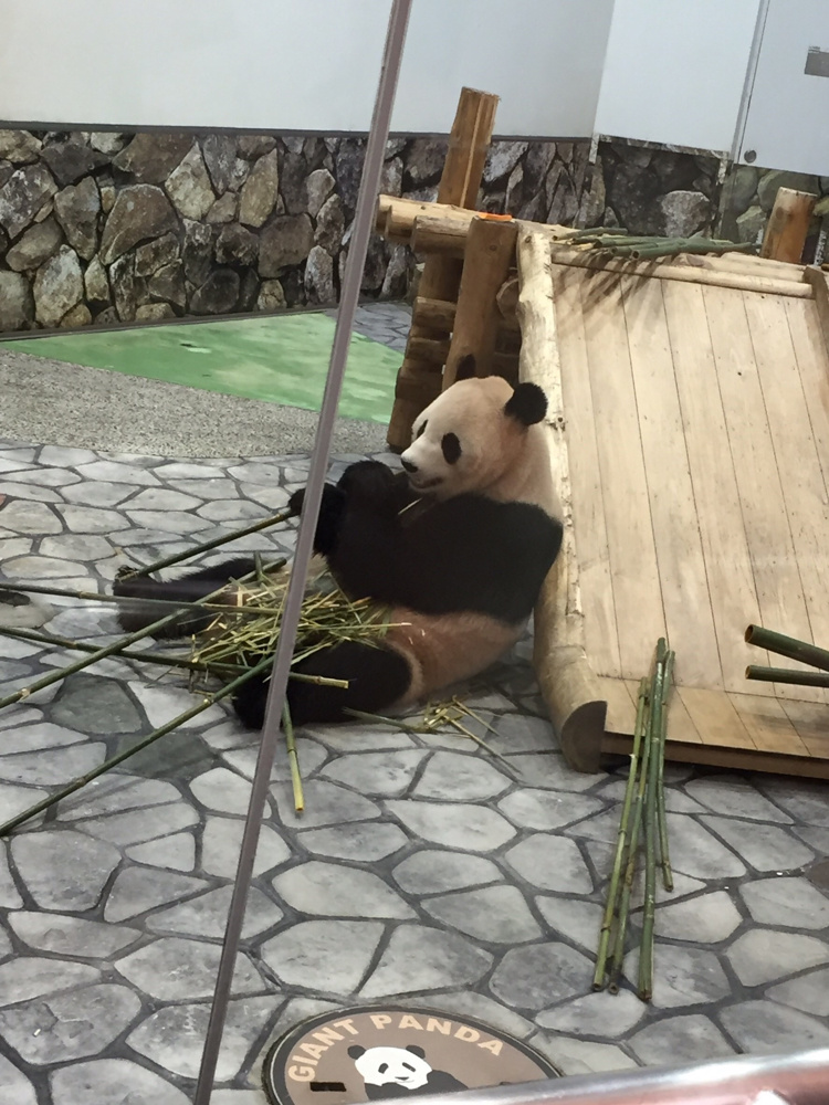 アドベンチャーワールドの画像