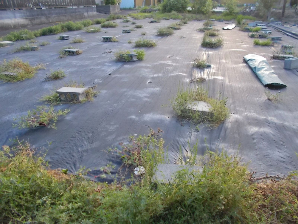 空き地の維持管理が大切な理由とは？費用相場や節約のポイントも解説の画像