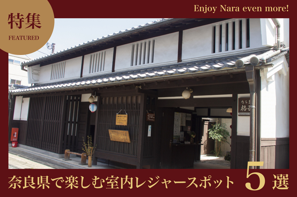 夏の暑さを吹き飛ばせ！奈良県で楽しむ室内レジャースポット5選の画像