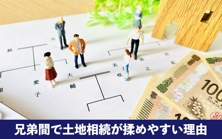 兄弟間で土地相続が揉めやすい理由