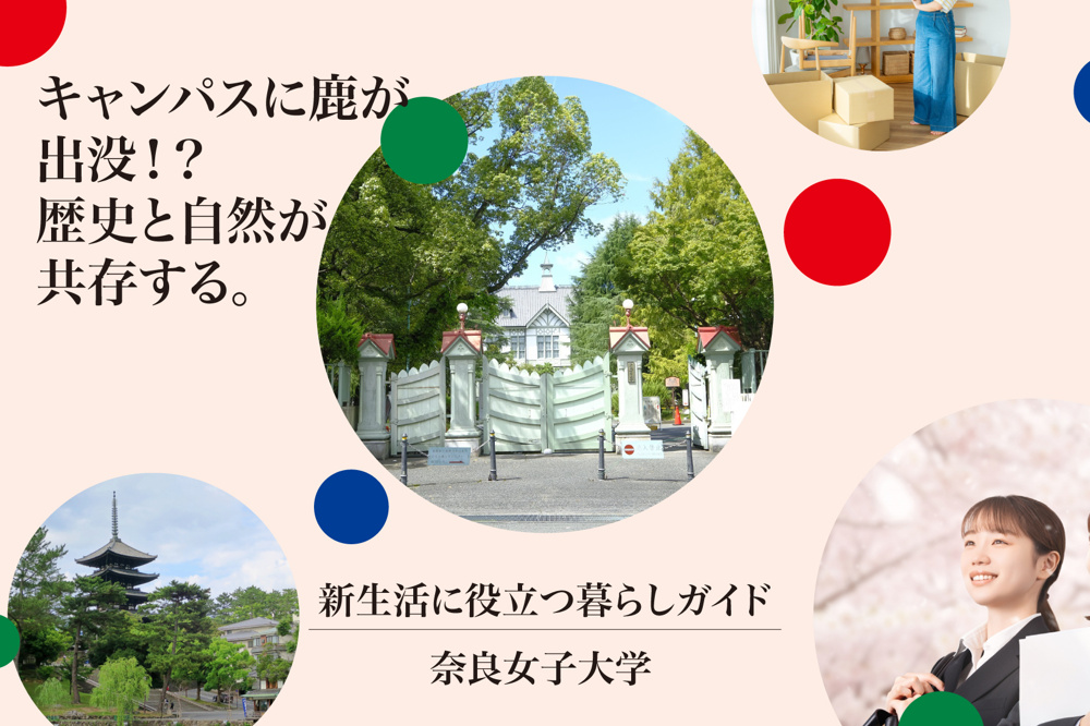 奈良女子大学のキャンパスに鹿が出没！？歴史と自然が共存する街での学生生活の画像