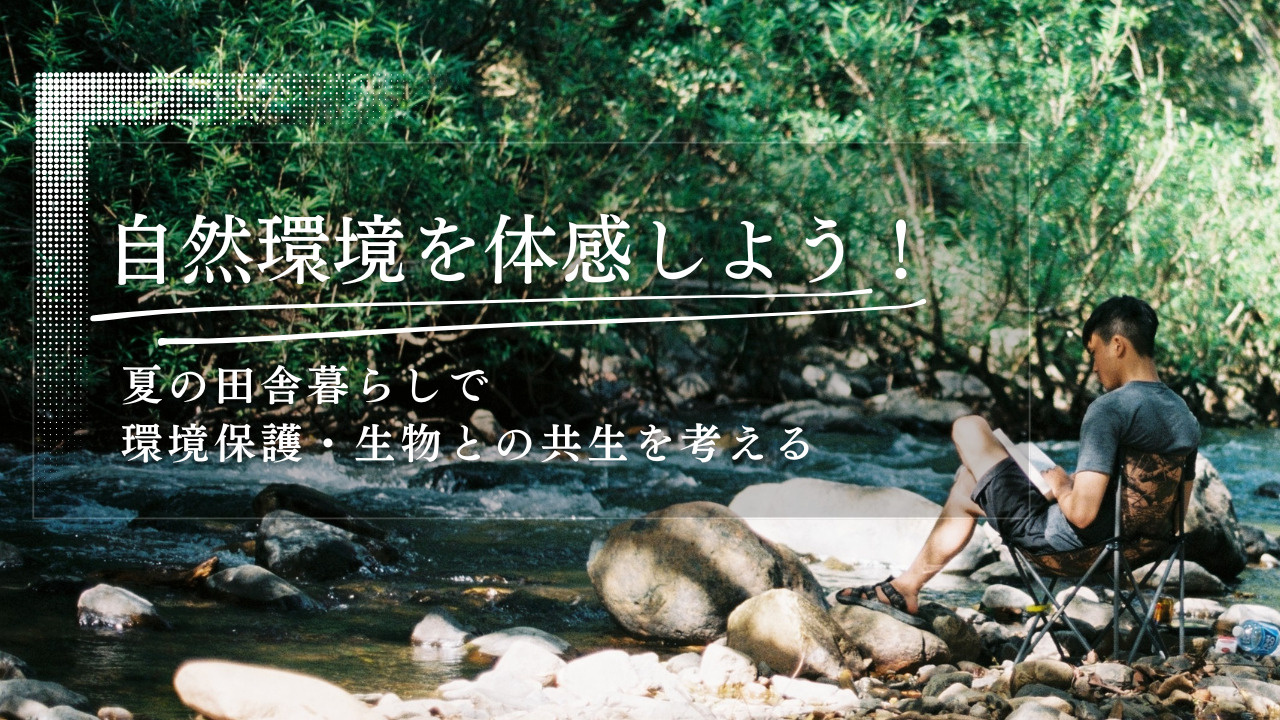 夏の田舎暮らしで自然環境を体感しよう！生物との共生を考えるの画像