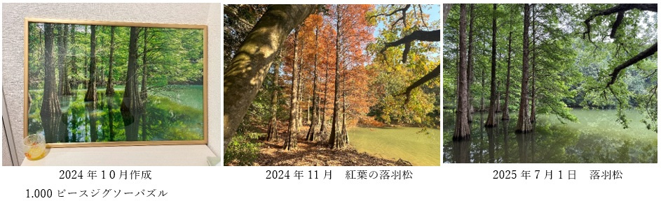 篠栗九大の森の画像