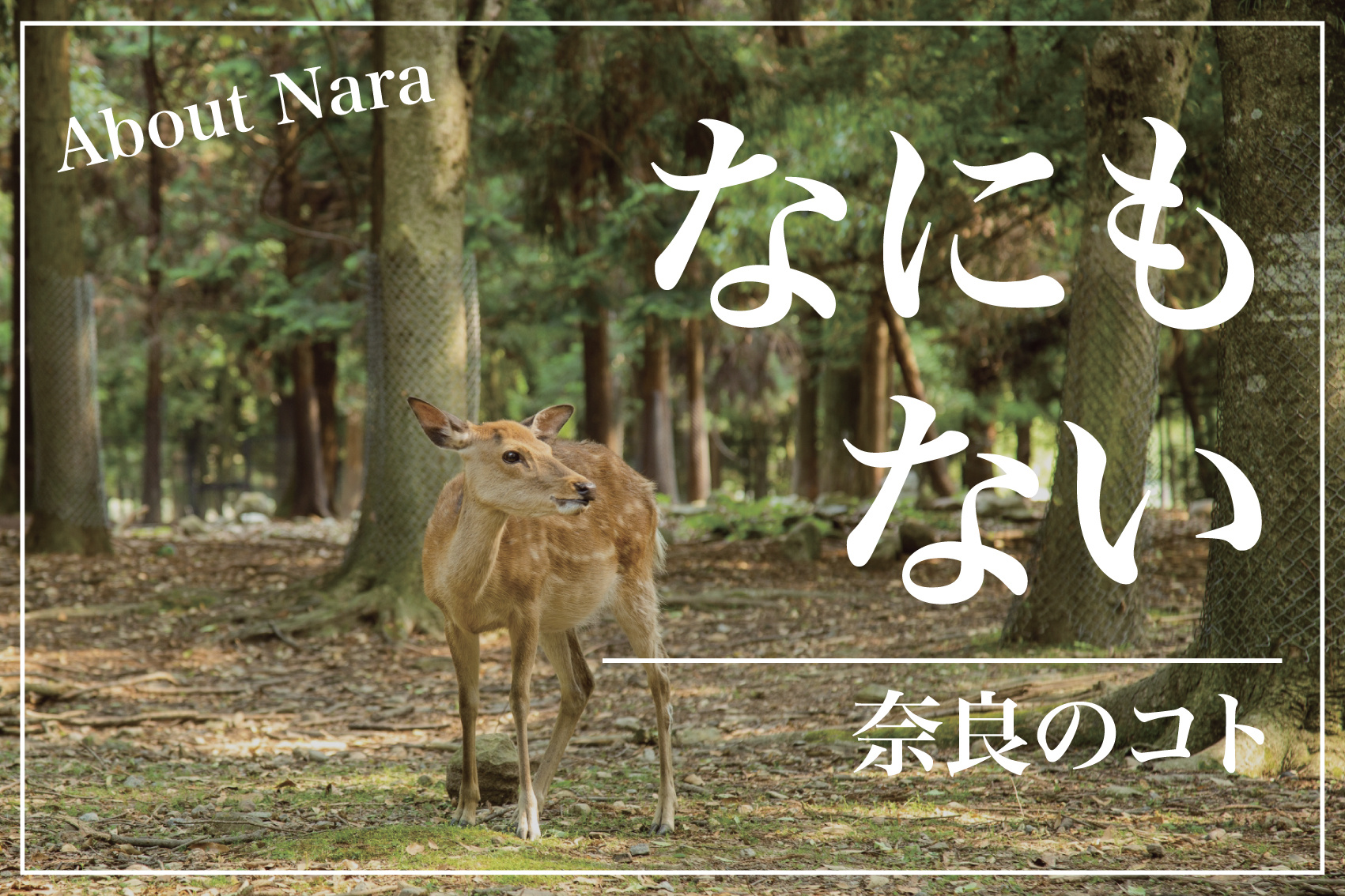 奈良にディズニーランドは必要？“なにもない”の価値を考えるの画像