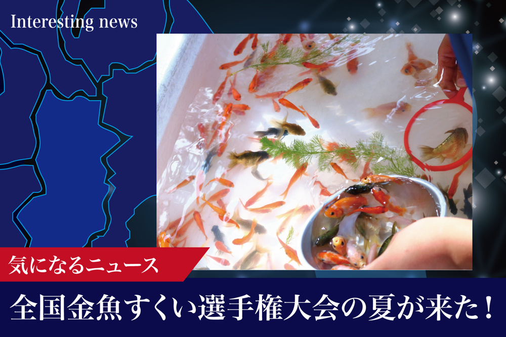 全国金魚すくい選手権大会の夏が来た！奈良・大和郡山市で予選スタートの画像