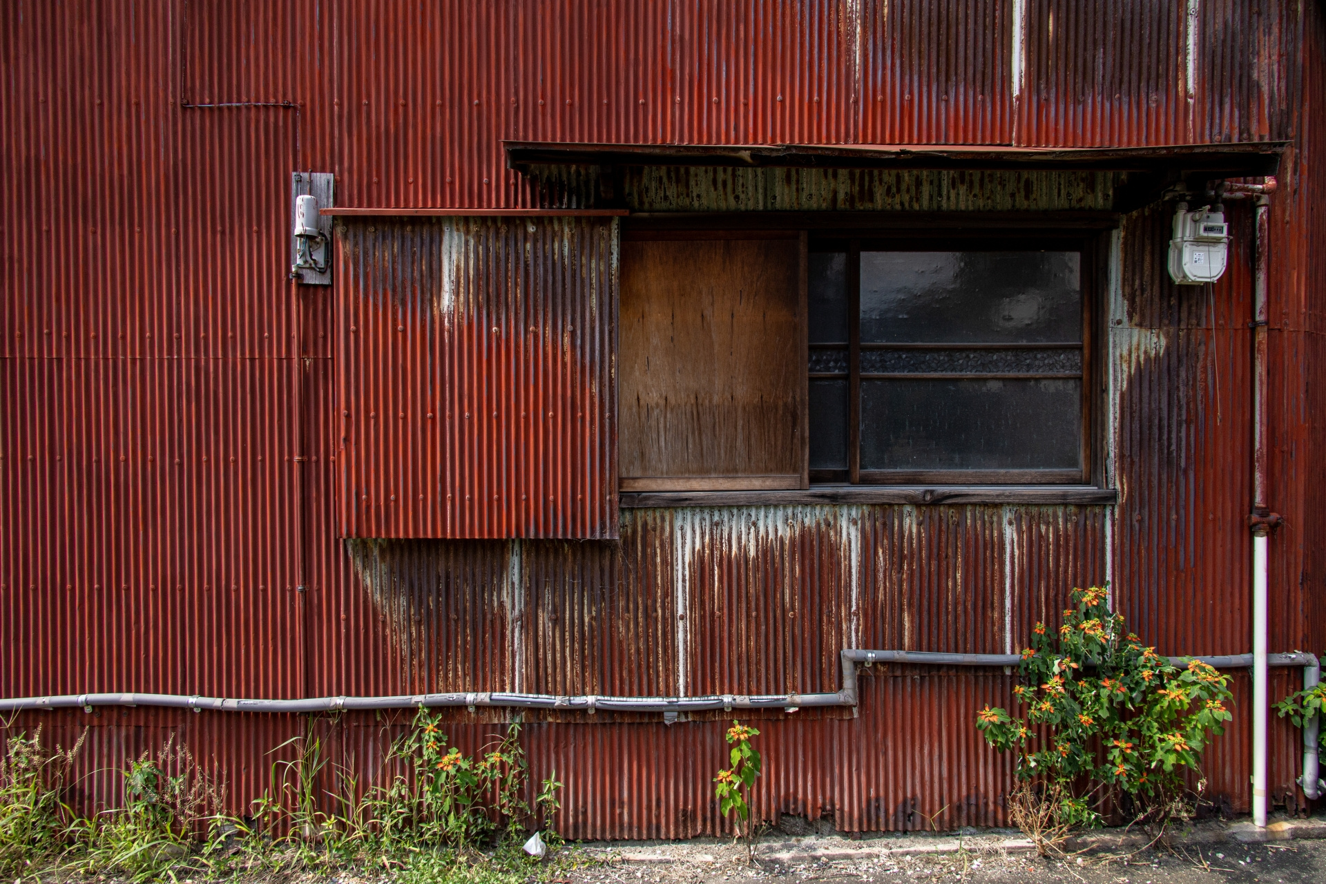 【空き家管理】なぜ空き家・留守宅は臭くなるのか？その原因と予防策を解説の画像