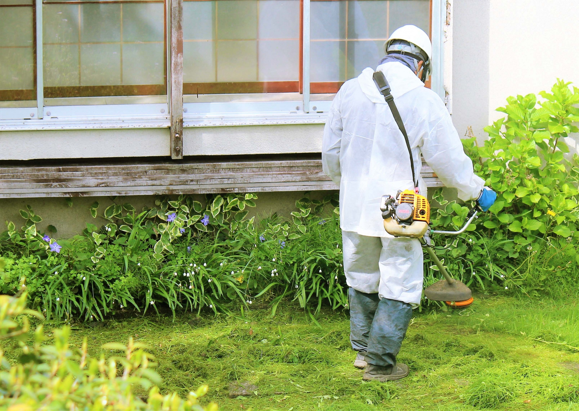 【空き家管理】空き家の雑草対策｜手作業・除草剤・防草シート、それぞれの特徴と現場の工夫の画像
