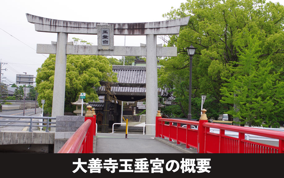 久留米市にある大善寺玉垂宮の概要