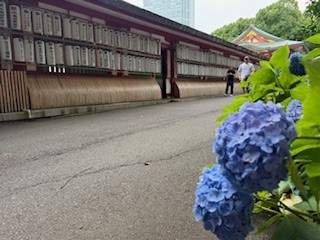 ここから遊び回る私。の画像