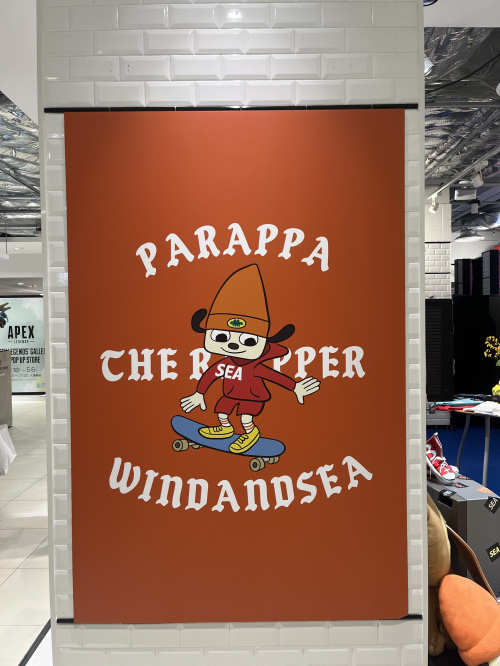 熊本市で白川小学校校区は住みやすい？生活環境や地域情報を詳しく解説の画像