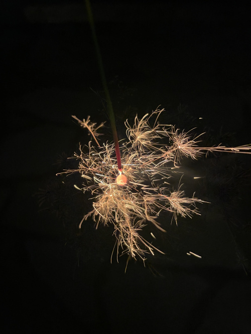 自宅で花火の画像