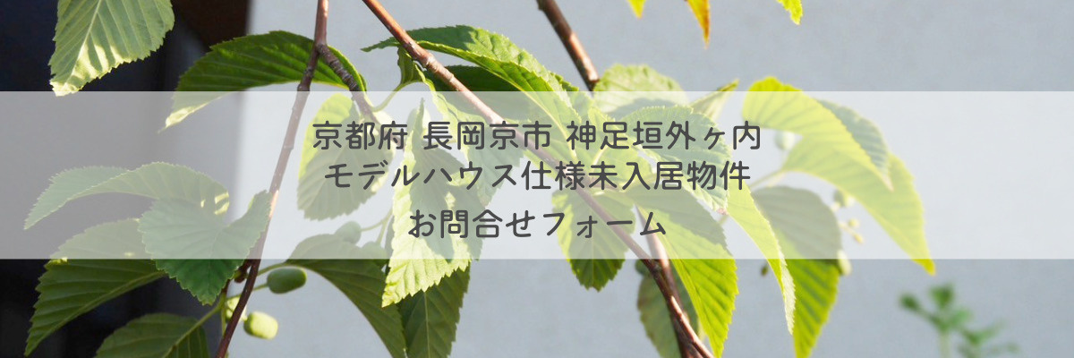OH情報