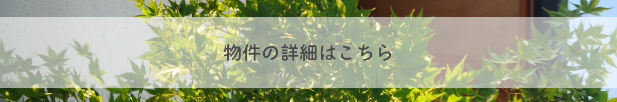 OH情報