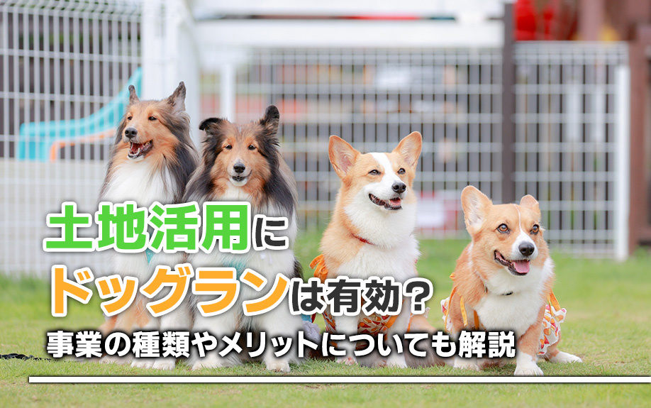 土地活用にドッグランは有効？事業の種類やメリットについても解説の画像