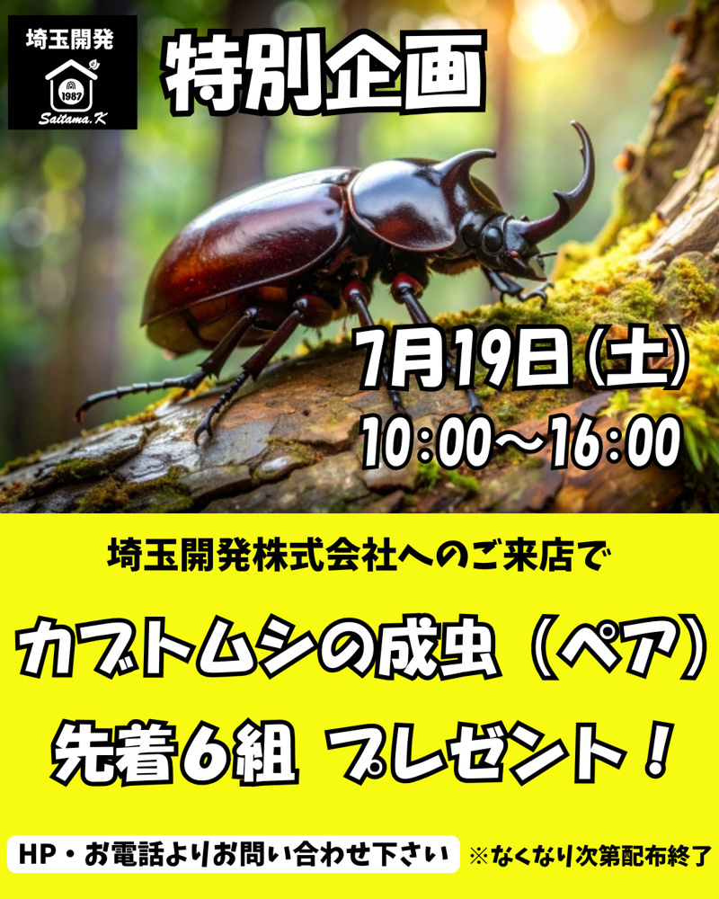 7月19日開催 特別企画 「カブトムシ」 プレゼント！の画像