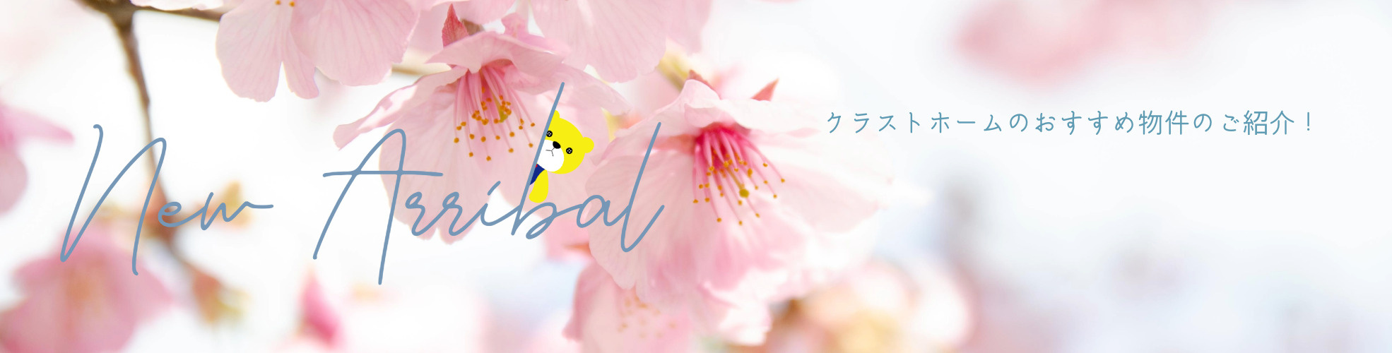 物件情報